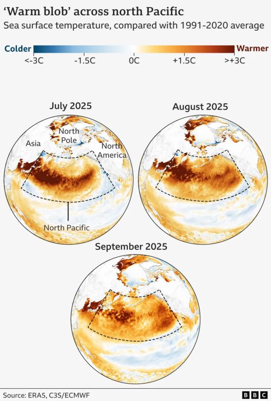 1991~2020년 평균 온도와 비교한 지난 7~9월의 북태평양 해수면 온도. 색이 파랄수록 과거보다 온도가 낮았음을 의미하고, 갈색이 진할수록 온도 상승 폭이 더 높았음을 뜻한다. 출처 : 영국 BBC방송 누리집 갈무리