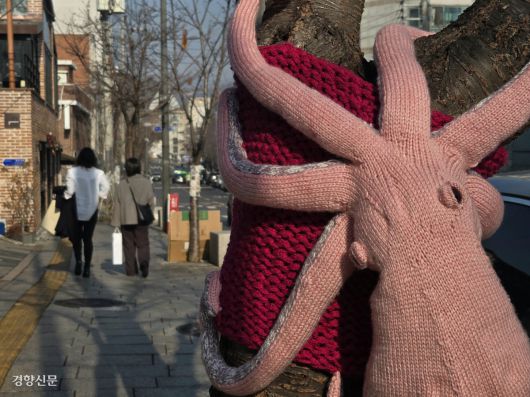 7일 서울 종로구 서촌 거리의 가로수에 털실로 뜨개질한 ‘얀바밍’작품이 입혀져 있다. 우혜림 기자