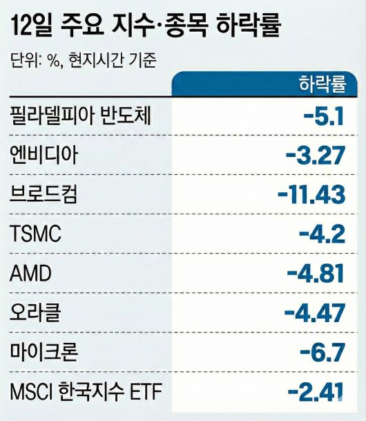 12일 주요 지수·종목 하락률/그래픽 : 생성형AI