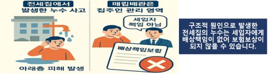 금감원은 16일 ‘겨울철 자주 발생하는 보험 분쟁’ 사례와 유의사항을 안내했다. 금감원 제공