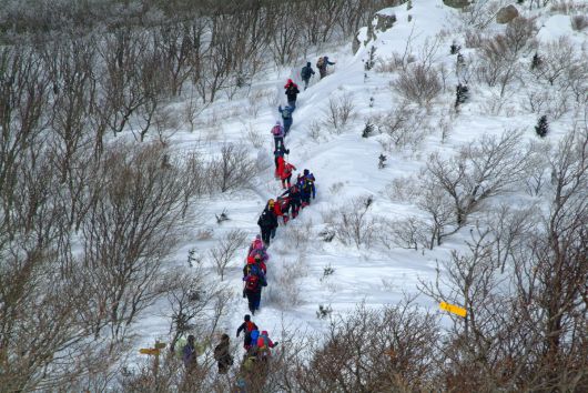 선자령눈꽃트래킹. 한국관광공사(ⓒ김지호) 제공
