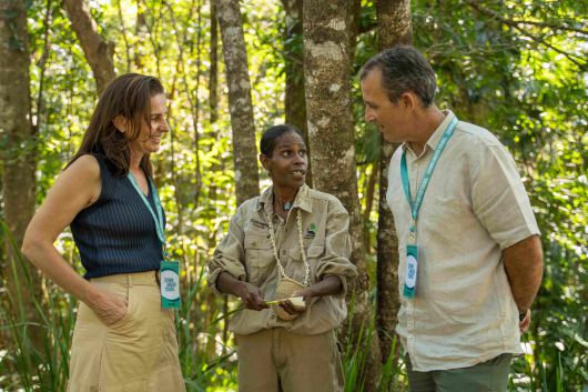 케인즈기모이 폭포·습지·시닉 레일 투어. 호주 관광청 제공