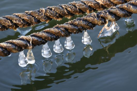 한파특보가 발효 중인 20일 오전 경기도 고양시 한강 하구에서 고드름이 밧줄에 얼어 있다. 연합뉴스