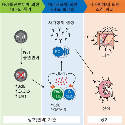 서울신문