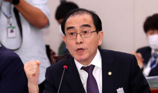 대북 전단 관련 질의하는 태영호 의원 - 미래통합당 태영호 의원이 3일 오후 서울 여의도 국회에서 열린 외교통일위원회 전체회의에서 대북 전단 살포를 금지하는 내용의 남북교류협력법 개정안에 대해 질의하고 있다. 2020.8.3 연합뉴스