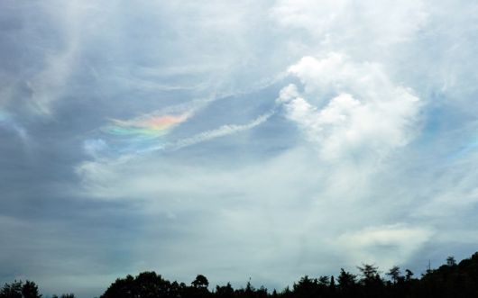헤일로와 함께 평평한 무지개 ‘환수평호’도 서일본 하늘에서 관찰됐다. 불꽃 무지개로 잘 알려진 환수평호(環水平弧·circumhorizontal arc)는 여러 조건이 완벽하게 갖춰줘야만 볼 수 있는 극히 드문 자연 현상이다./사진=@OmoSally6047 트위터