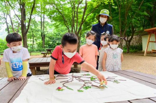 양천구 산지형 공원에서 진행하는 유아 숲 체험 프로그램에 참여하고 있는 어린이들.양천구 제공