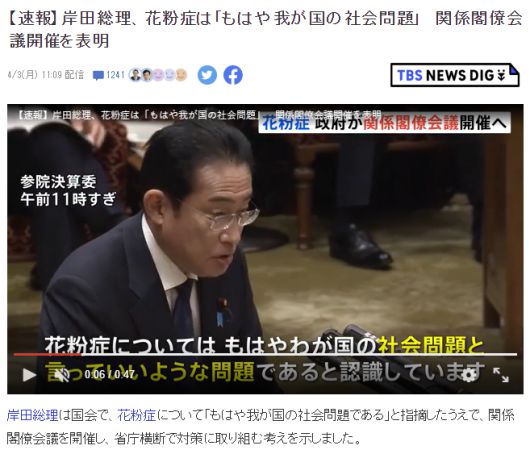 기시다 후미오 일본 총리가 꽃가루는 일본 사회의 문제라고 지적하고 대책을 마련하겠다고 밝혔다. 사진은 해당 내용의 TBS 보도 캡처