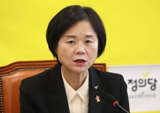 정의당 이정미 대표, 취임 1주년 기자간담회 - 정의당 이정미 대표가 29일 국회에서 취임 1주년 기자간담회를 하고 있다. 연합뉴스