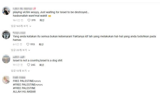 그러나 1만 4000개 이상의 댓들이 달린 틱톡 계정에는 이스라엘을 원색적으로 비난하거나 팔레스타인을 지지하는 댓글이 대부분이고 추천도 많이 받았다. / 사진=IDF 틱톡