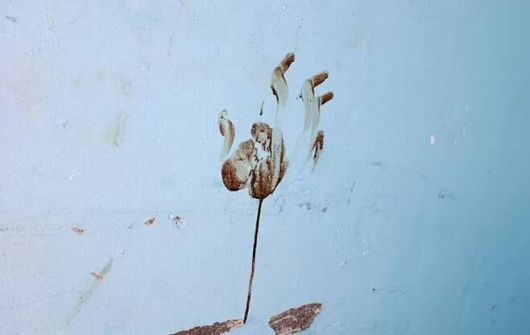 지난달 7일(이하 현지시간) 팔레스타인 무장정파 하마스가 이스라엘을 기습 공격해 민간인 1400여 명을 살해하고 250여 명을 납치한 가운데, 당시 피해가 가장 컸던 이스라엘 남부 마을의 외벽에 남아있는 피 묻은 손자국. AFP 연합뉴스