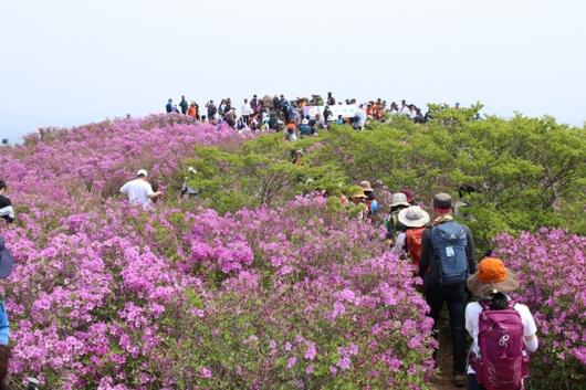 서울신문