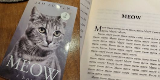 고양이에게 읽어주는 고양이책.