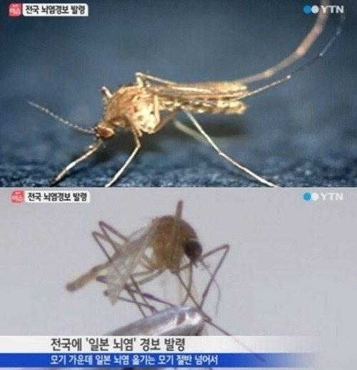 서울신문