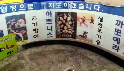 해동검도를 배우러 간 도장에서는 필리핀 실전무술 ‘아르니스’, 프랑스 킥복싱 ‘사바테’, 춤과 무술을 혼합한 브라질 무술 ‘까포에라’를 가르치고 있었다.