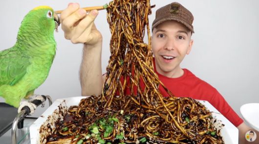 Nicocado Avocado's Comeback Video