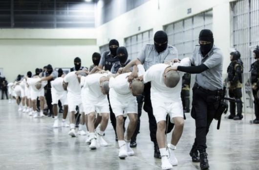 16일(현지시간) 미국에서 엘살바도르로 이송된 갱단 단원들이 테콜루카의 테러리즘 구금센터에서 머리를 숙이고 줄지어 이동하고 있다. AP 뉴시스