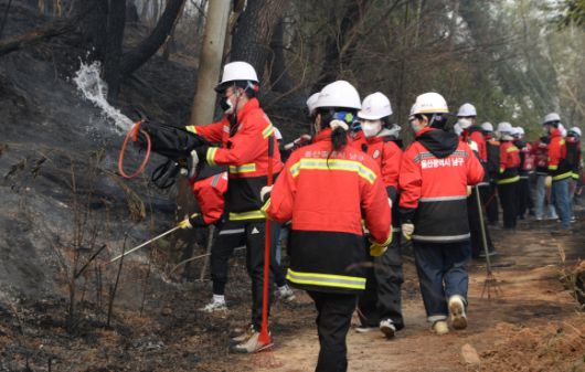 25일 오후 울산시 울주군 언양읍 화장산 일원에서 원인 미상의 화재가 발생해 공무원들이 잔불 정리를 하고 있다. 2025.3.25 뉴시스