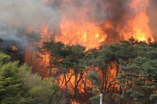 25일 오후 울산시 울주군 언양읍 화장산 일원에서 원인 미상의 화재가 발생해 불꽃과 연기가 올라오고 있다. 2025.3.25 뉴시스