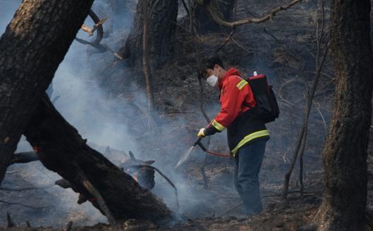 25일 오후 울산시 울주군 언양읍 화장산 일원에서 원인 미상의 화재가 발생해 공무원들이 잔불 정리를 하고 있다. 2025.3.25 뉴시스