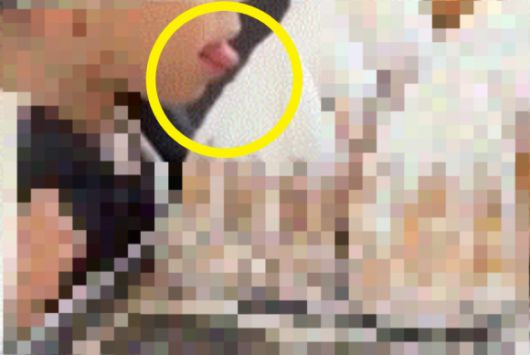 서울의 유명 빵집에서 한 어린이가 혀를 내밀어 진열된 빵을 맛보는 모습이 온라인상에 확산하며 논란이 되고 있다(사진 일부 모자이크 처리함). 다음 카페 ‘여성시대’ 캡처