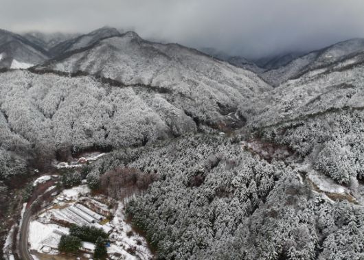 전국 곳곳에 봄눈 소식이 찾아온 13일 강원 화천군 광덕산 일원에 눈이 쌓여 있다. 2025.4.13 연합뉴스
