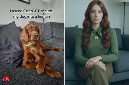 ‘동물의 인간화’ 그림이 새로운 챗GPT 유행으로 떠오르고 있다. 틱톡 캡처