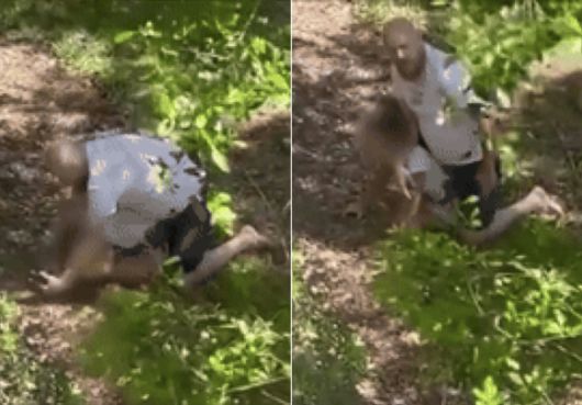 미국 플로리다주 탬파에서 자신의 집 근처를 지나던 11세 소녀를 땅에 눕히고 제압한 43세 남성이 폭행 혐의로 입건, 현장에서 체포됐다. 힐스버러 카운티 보안당국 제공