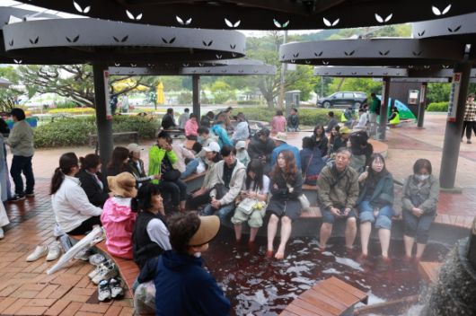 ‘제48회 보성다향대축제’에서 관광객들이 차향 가득 족욕을 즐기고 있다.