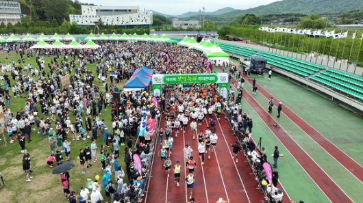 제20회 보성녹차마라톤대회