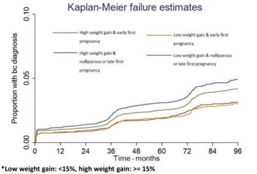 성인기 체중증가·첫 출산시기와 유방암 위험 관계. ECO 2025, Lee Malcomson et al. 제공