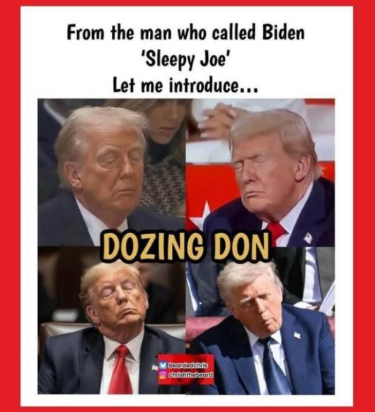 도널드 트럼프 미국 대통령이 여러 공개 행사에서 꾸벅 조는 모습을 캡쳐해 만든 이미지. 자료 : 엑스(X)