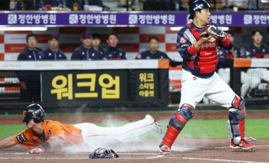 몸을 던진 득점, 총알탄 사나이 한화 노시환 - 23일 대전 한화생명볼파크에서 열린 ‘2025 신한 SOL 뱅크 KBO리그’ 프로야구 한화 이글스와 롯데 자이언츠 경기에서 6회말 1사 한화 황영묵의 타구에 3루주자 노시환이 홈으로 들어오며 득점하고  있다. 2025.5.23/뉴스1