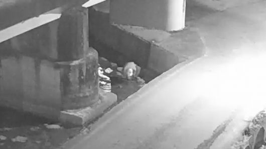 사고 발생 약 10분후 굴다리 아래 하천물을 퍼마시는 가해자 B씨의 모습