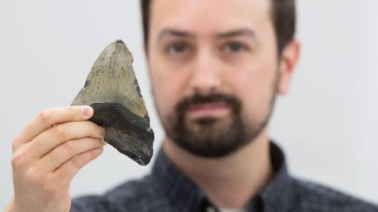 메갈로돈 이빨과 제러미 매코맥 박사. Uwe Dettmar for Goethe University