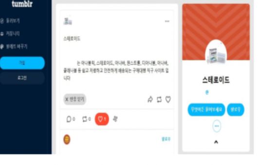단백동화스테로이드 등 온라인 불법유통 적발 사례. 식품의약품안전처 제공