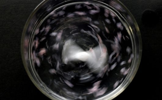 2025년 5월 27일 일본 사이타마현 와코에 있는 일본 이화학연구소(RIKEN)의 신생물질과학센터(CEMS)에서 바닷물에 녹는 플라스틱 표본이 소금물이 든 용기에 담겨 녹고 있다. 로이터 연합뉴스