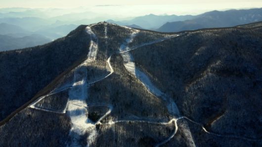 2018 평창올림픽 알파인 스키가 열렸던 강원 정선군 가리왕산. 서울국제환경영화제 제공