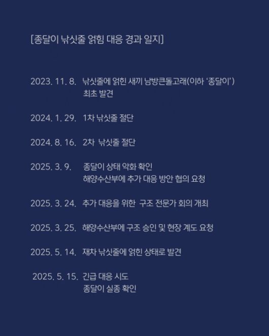 핫핑크돌핀스 제공