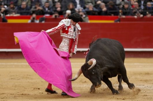 스페인 동부 발렌시아 투우장에서 열린 투우경기에서 세바스찬 카스텔라 프랑스 투우사가 경기를 하고 있다. 발렌시아 EPA 연합뉴스