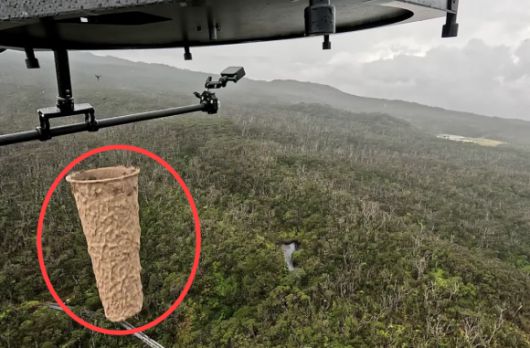 모기가 담긴 원통형의 종이 함이 드론에서 지상으로 떨어지고 있다. 하와이 환경단체 제공
