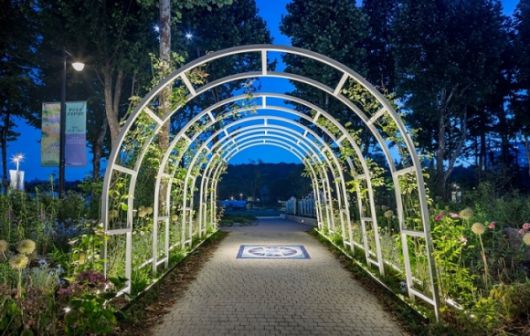 (사진: ⓒKyungsub Shin)