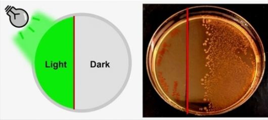 ACS Central Science 2025, DOI: 10.1021/acscentsci.5c00437