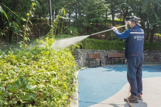 양천구 소속 직원이 지난해 여름 러브버그 발생 대비 민관 긴급방역활동을 하는 모습. 양천구 제공