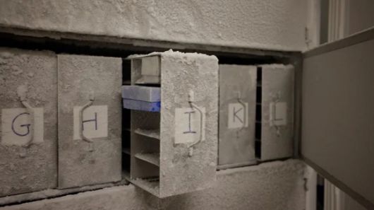 스위스 취리히 대학교 냉동고에 보관 중인 미생물 샘플. 마이크로바이오타 볼트 이니셔티브 제공