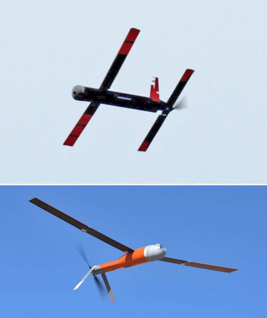 레이시온의 코요테(위쪽)와 안두릴의 알티우스(ALTIUS)-600 드론. 출처=위키피디아