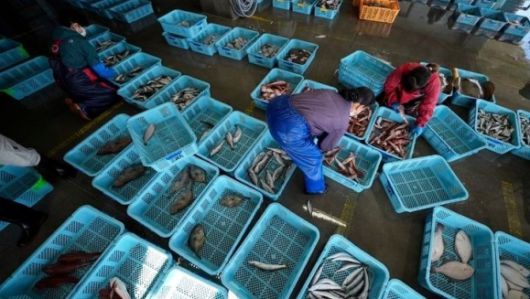 일본 이와키현의 한 수산물 시장. 이와키 AP 뉴시스