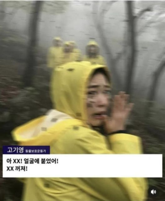 한 환경운동가가 “러브버그들이 학살당하고 있다”면서 울부짖는 영상이 소셜미디어(SNS)에 확산되고 있다. 네티즌들 사이에서 환경단체를 비판하기 위해 공유되고 있는 이 영상은 한 패러디 계정이 인공지능(AI)으로 생성한 가짜 영상이다. 자료 : AFP 팩트체크