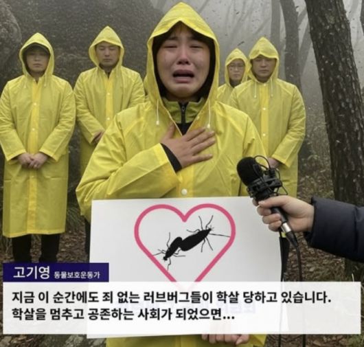 한 환경운동가가 “러브버그들이 학살당하고 있다”면서 울부짖는 영상이 소셜미디어(SNS)에 확산되고 있다. 네티즌들 사이에서 환경단체를 비판하기 위해 공유되고 있는 이 영상은 한 패러디 계정이 인공지능(AI)으로 생성한 가짜 영상이다. 자료 : AFP 팩트체크