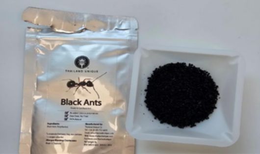 태국산 개미. 식품의약품안전처 제공